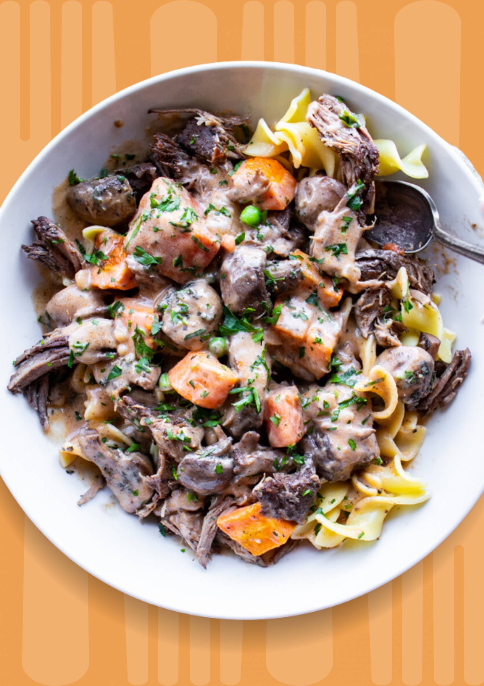 Short Rib Stroganoff